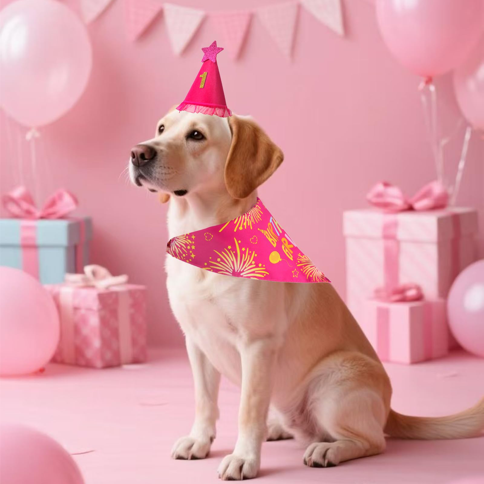 Agroon dog birthday celebration scene, ready-for-party kit for photos.