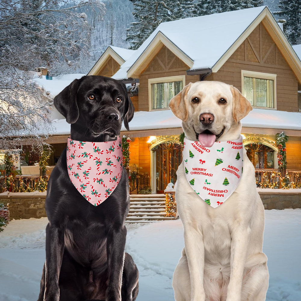 Agroon durable polyester bandana closeup showing sturdy fabric for wear.