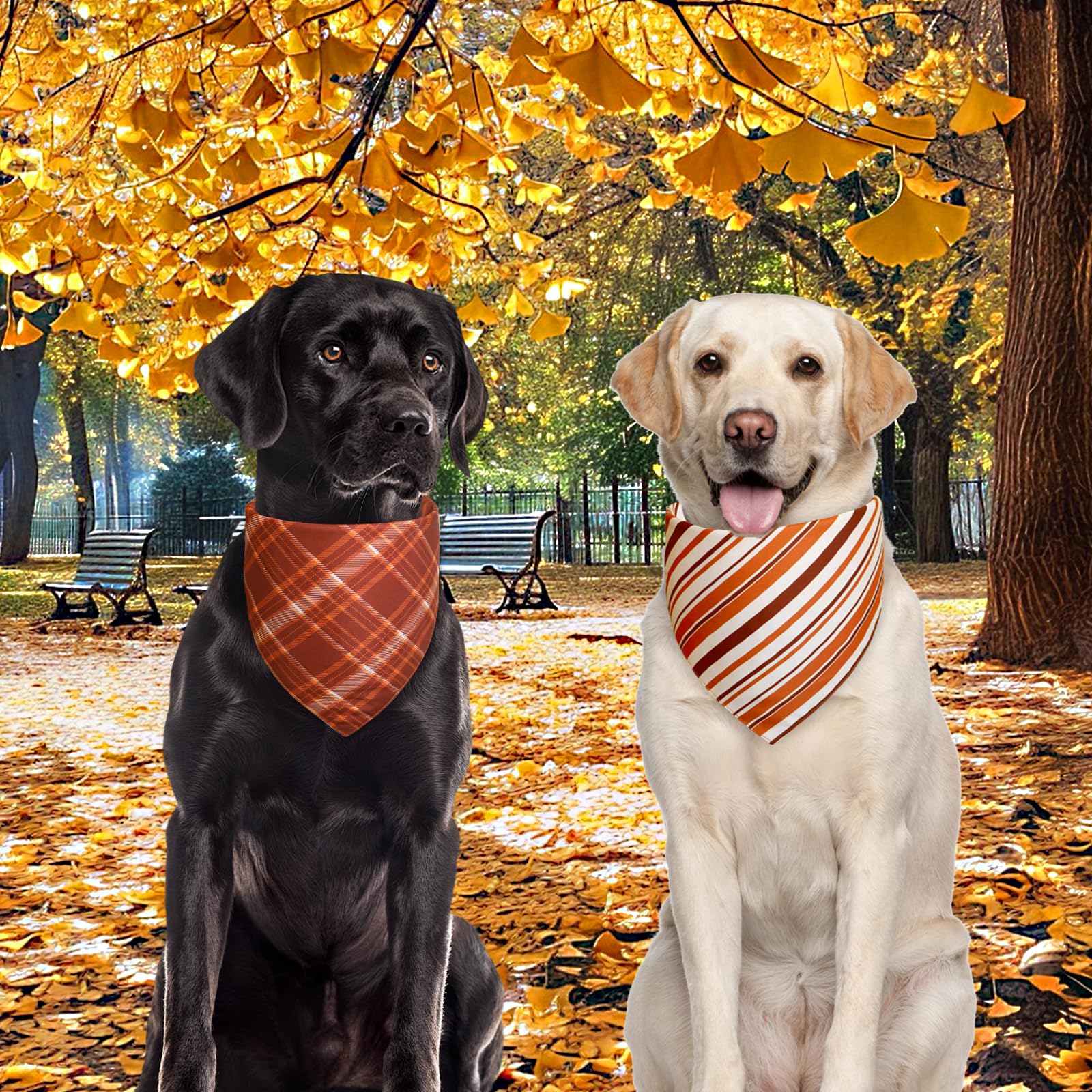 Agroon bandana care: washable and quick-dry for busy pet households.