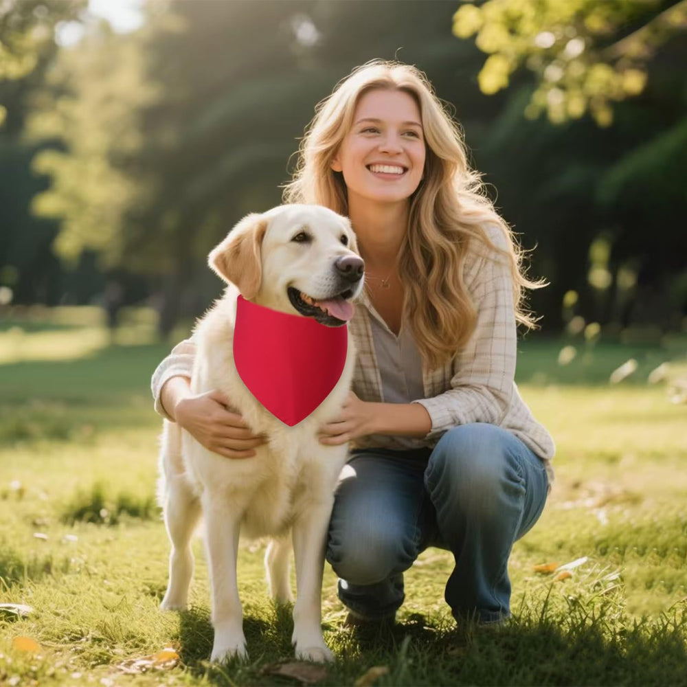 Agroon reversible triangle dog bandana illustrating versatile style choices