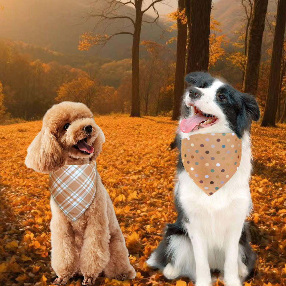 Agroon three-size options help find a comfortable fit for dogs.