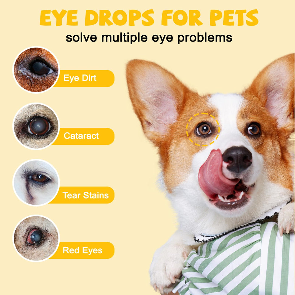 Agthyuve dog eye drops bottle with easy-dispense pipette for quick daily relief