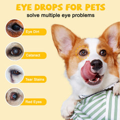Agthyuve dog eye drops bottle with easy-dispense pipette for quick daily relief