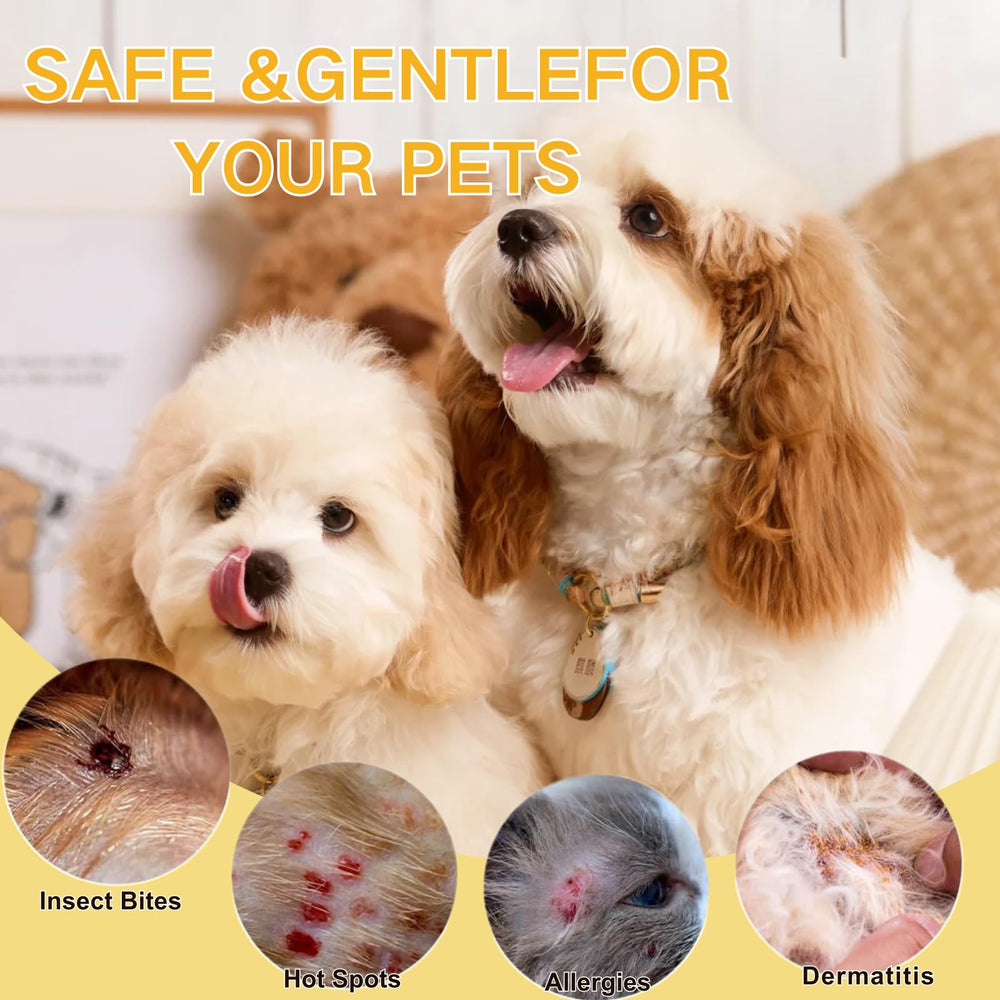 AGUPPO pet skin treatment spray cat application—soothing irritation during cuddle time.
