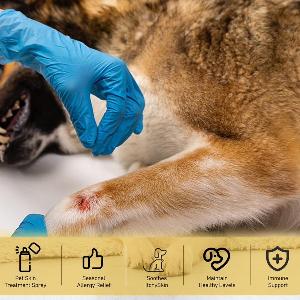 AGUPPO pet skin treatment spray surface usage—applied areas stay clean and comfortable.