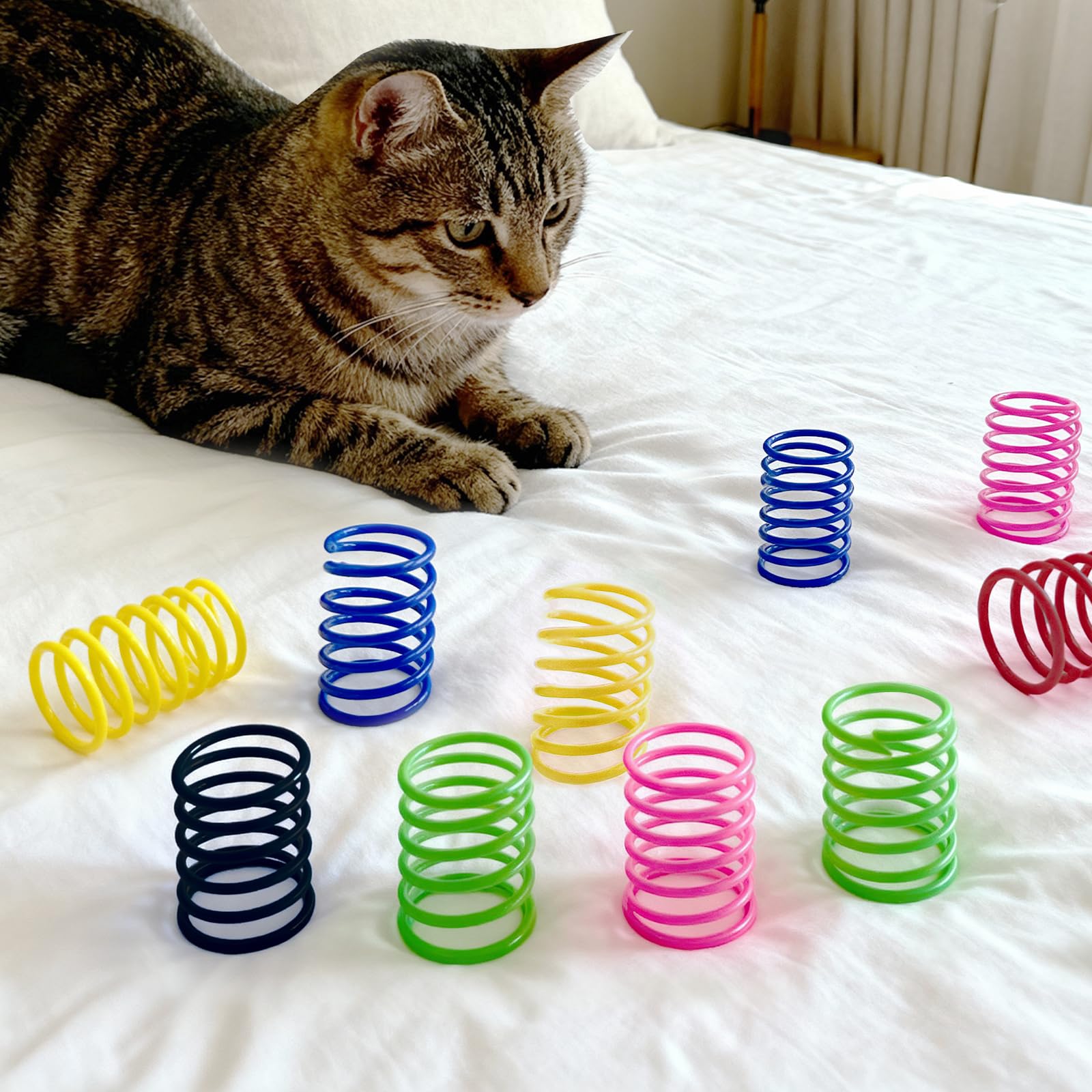 AGYM cat enjoying spiral spring, promotes activity and hunting-like play.
