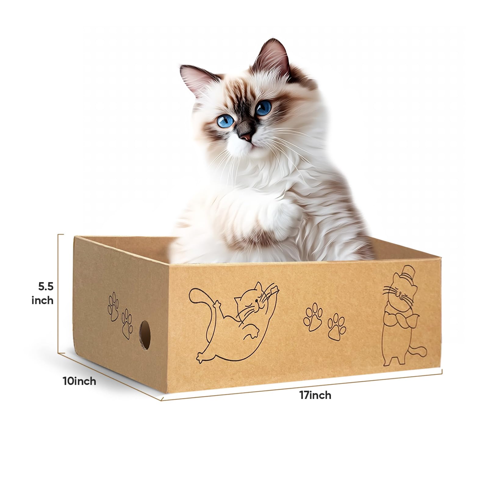 AGYM suitable for both kittens and adults with versatile scratching angles.