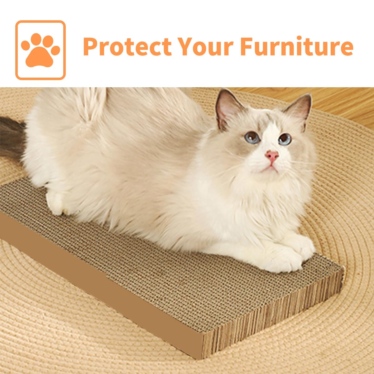 AGYM five-pack contents with cardboard scratchers and box