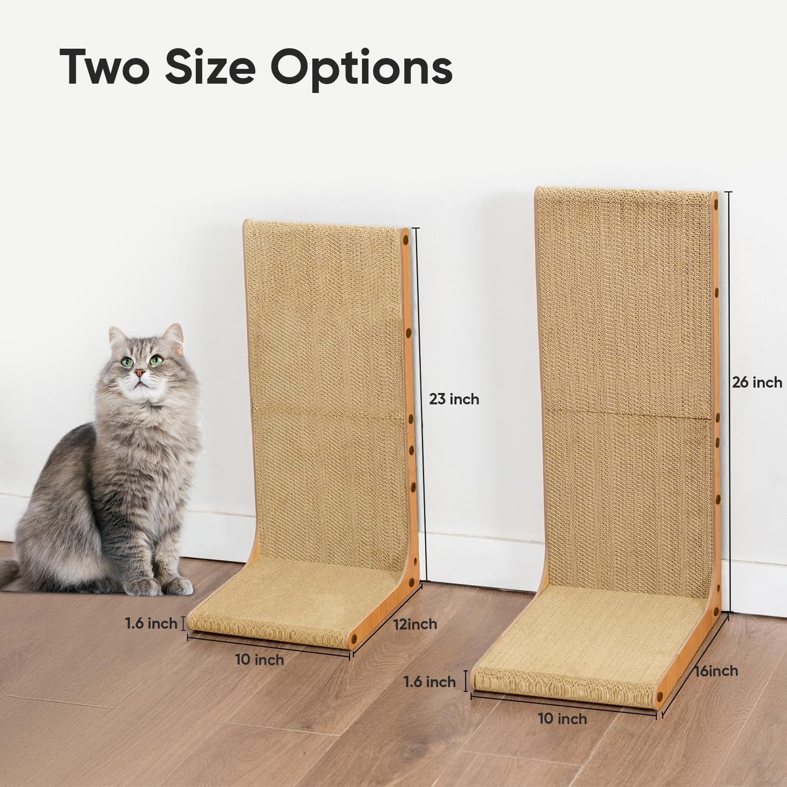 AGYM Cat Scratcher indoor use shows cat stretching and play.