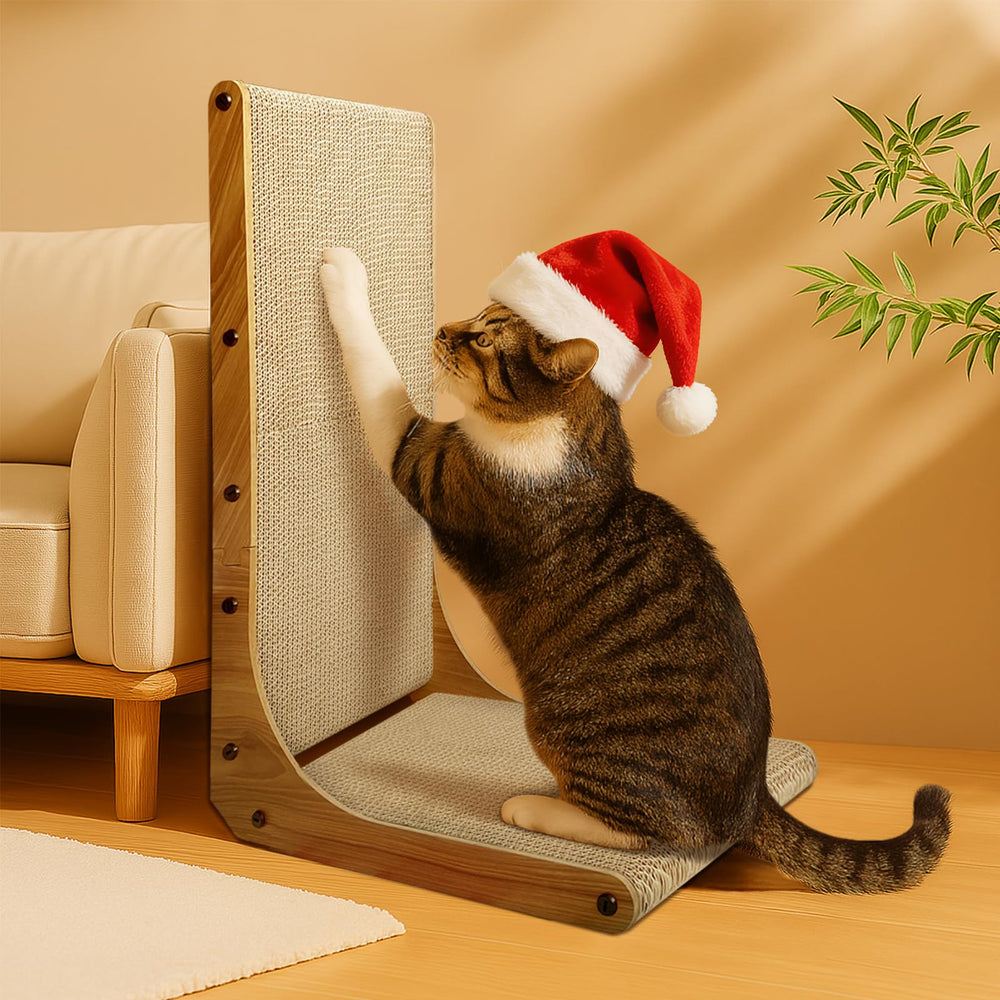 AGYM recyclable materials emphasize eco-friendly choice for homes with cats.