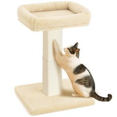 AGYM cat scratching post stands 32 inches tall for stable vertical play.