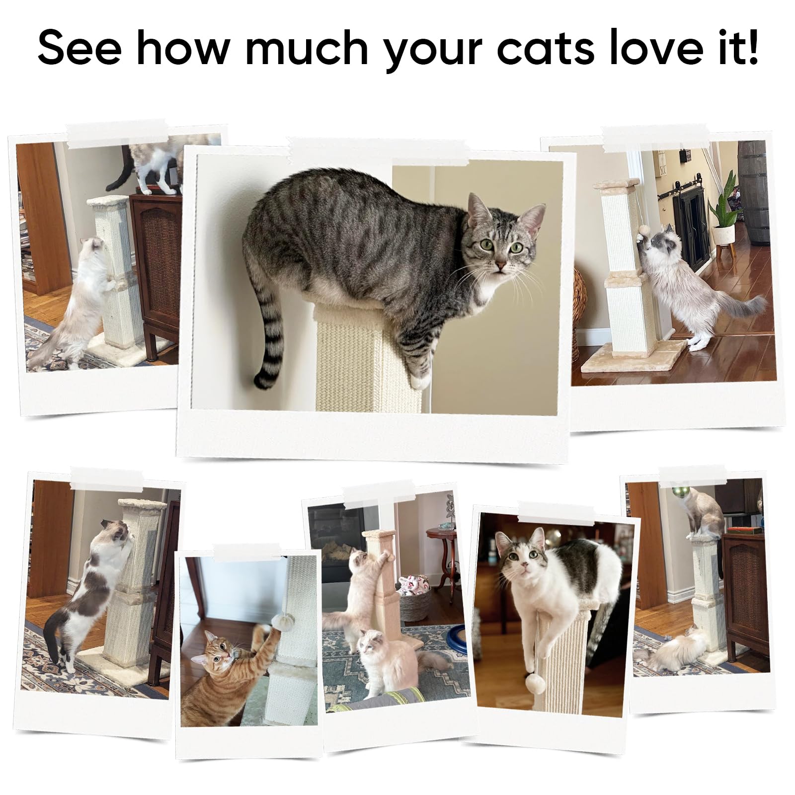 AGYM anti-tip base design keeps the scratching post stable.