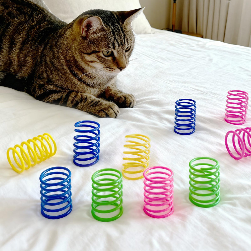 AGYM interactive cat toys set for indoor enrichment