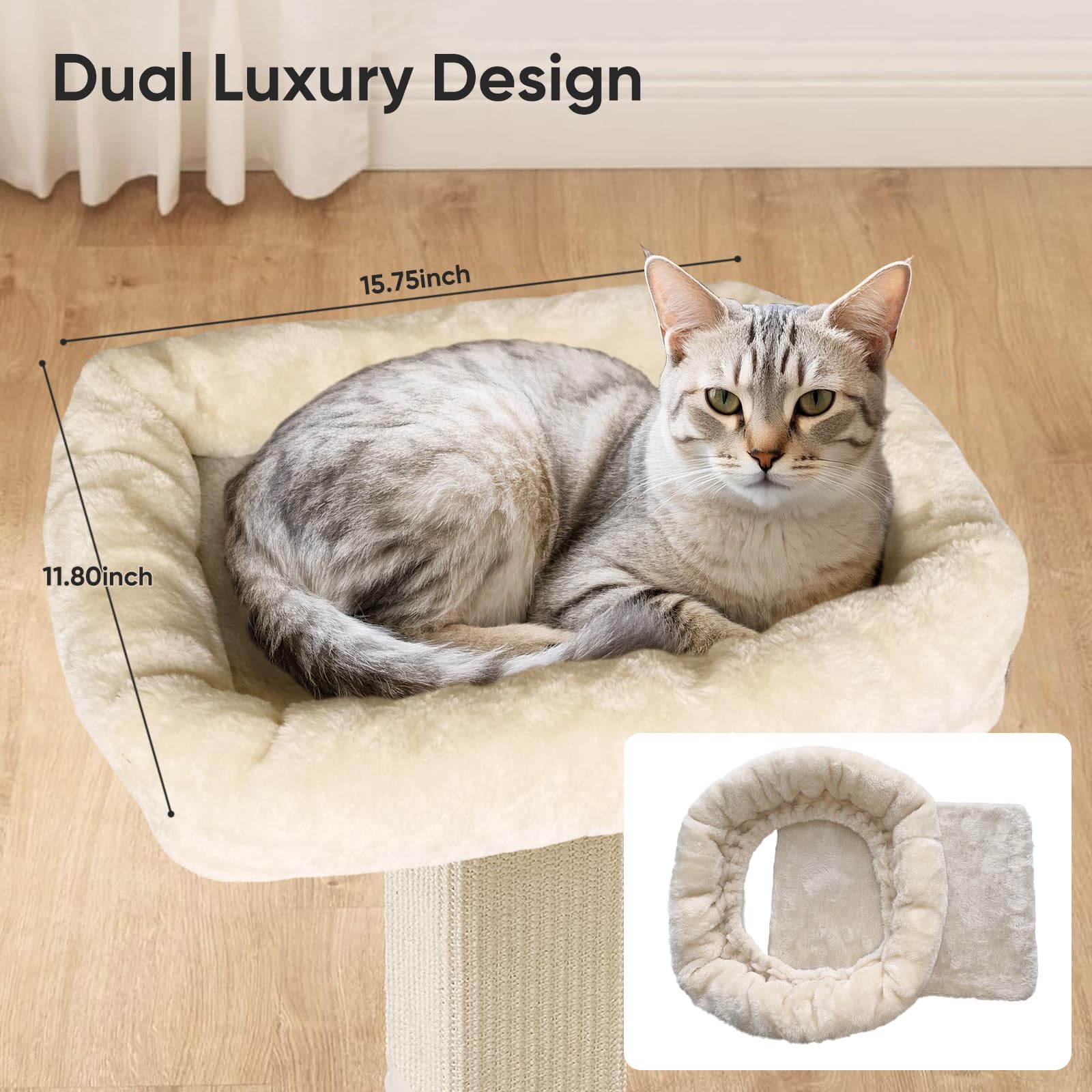 AGYM elevated cat bed at top offers a sunny, quiet lookout.