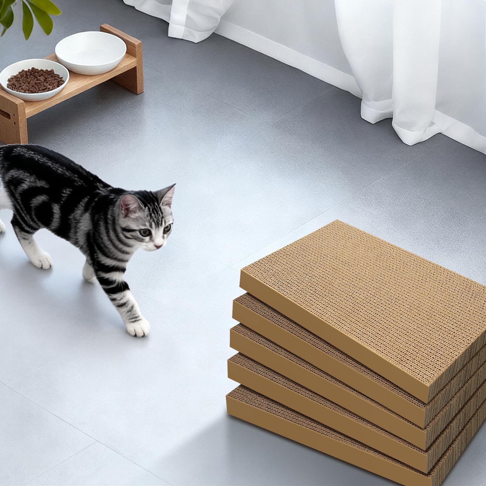 AGYM recyclable cardboard packaging emphasizes eco-conscious product design.