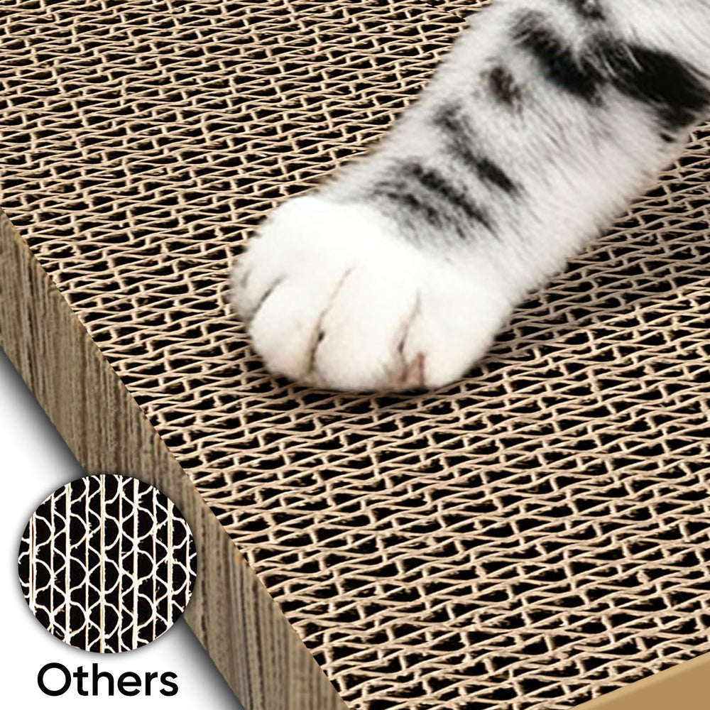 AGYM recyclable cardboard blends durability with eco-conscious choice