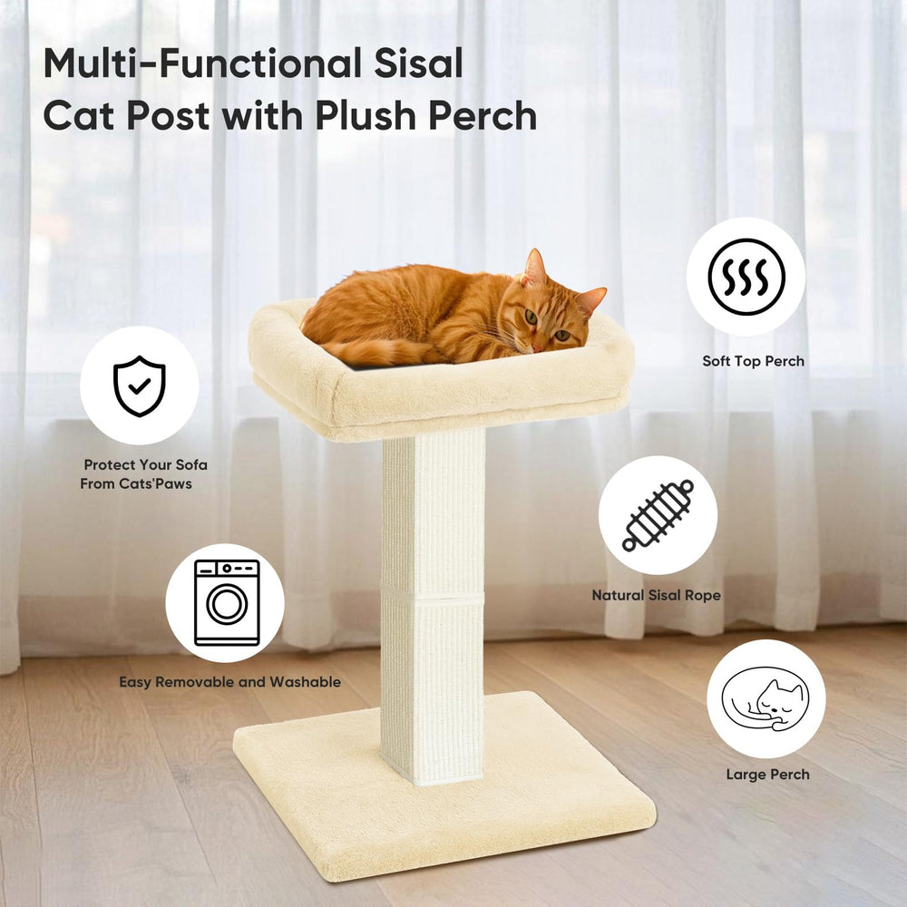AGYM removable washable cover simplifies cleaning after play.