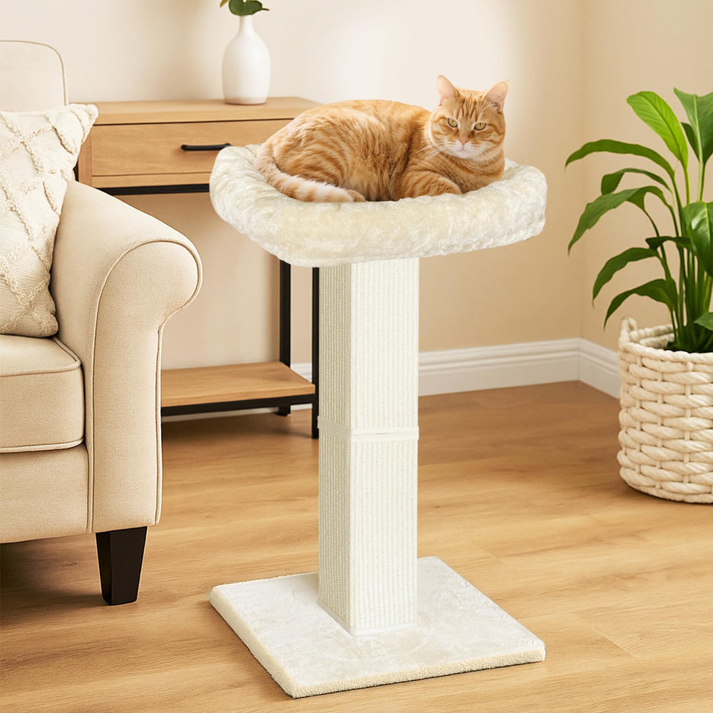 AGYM sisal and carpet texture keeps cats engaged while protecting furniture.