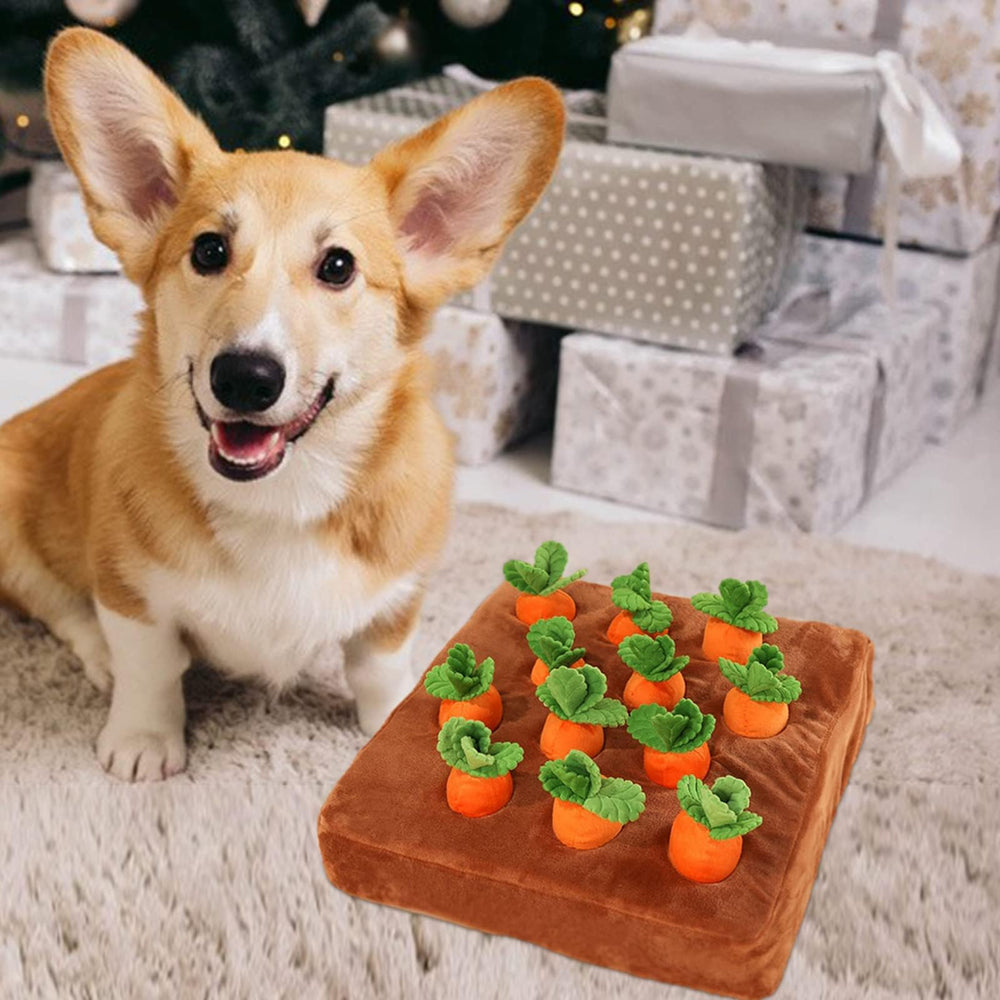 AGYTBG Carrot Snuffle Mat removable pads simplify washing.