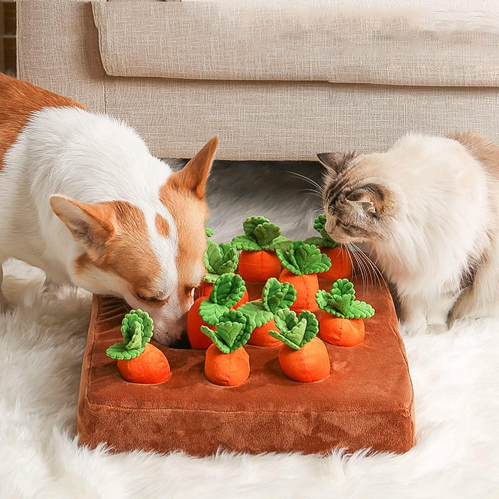 AGYTBG Carrot Snuffle Mat tug-and-search setup for versatile use.