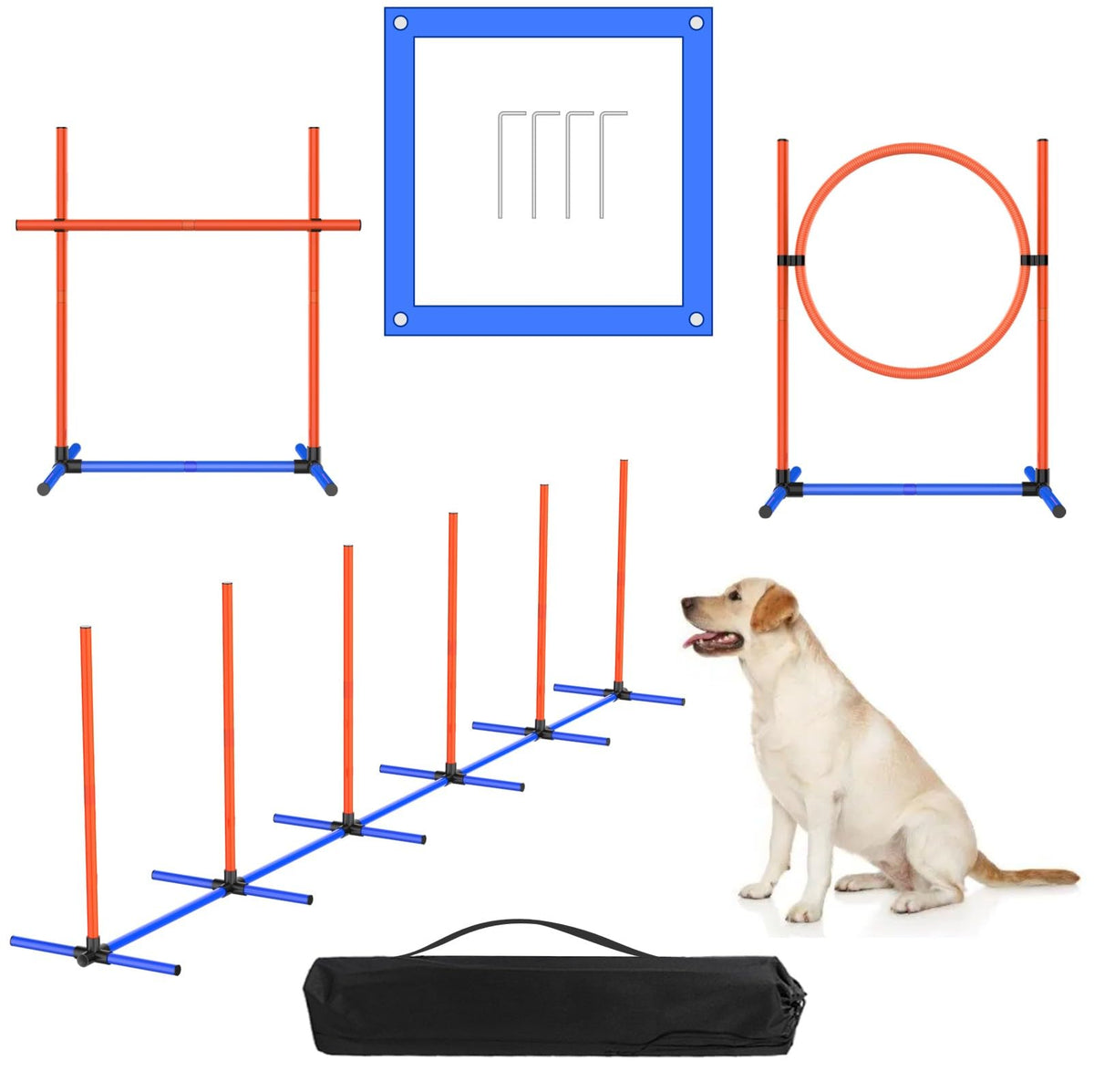AHAILUOO dog agility hoop adjustable for progressive jump training at home.
