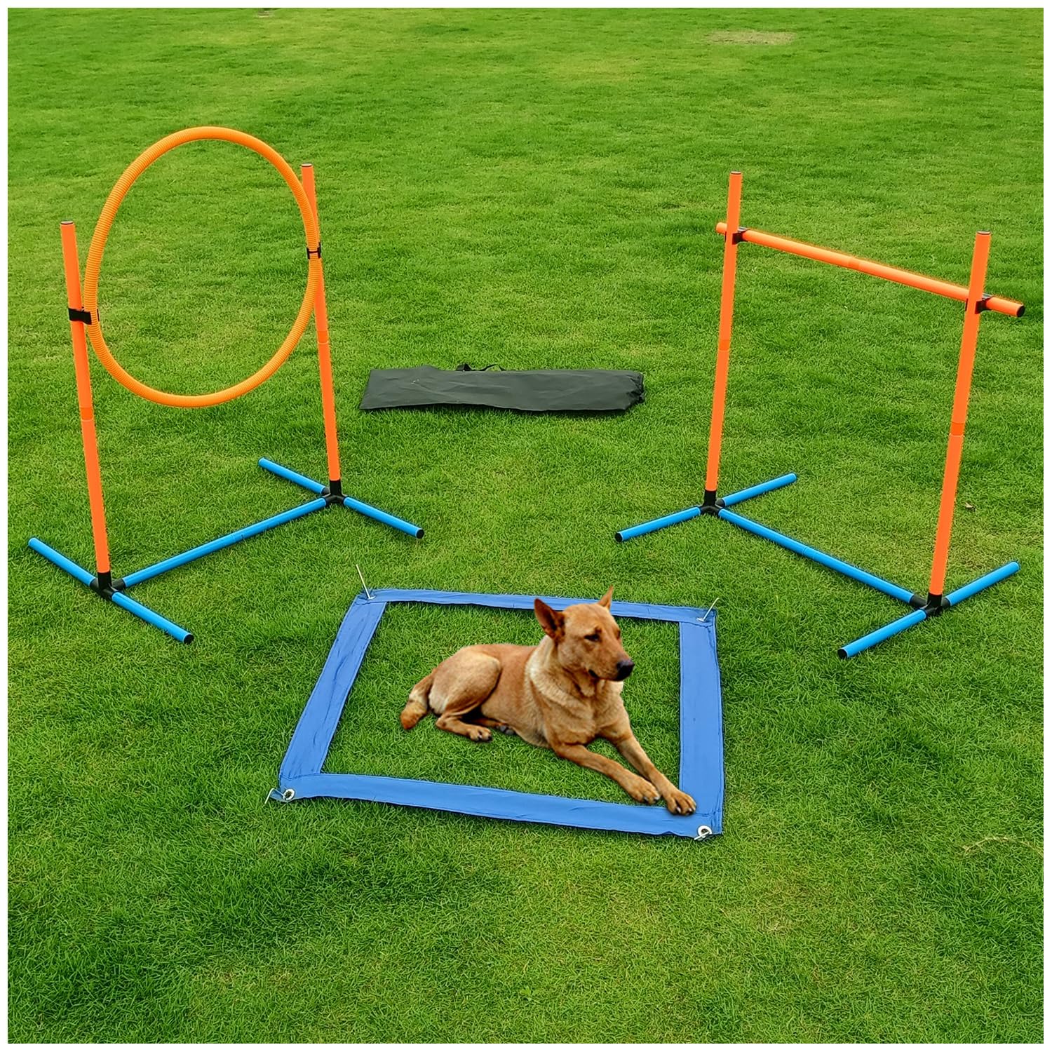 AHAILUOO dog agility jump pole for adjustable training heights and responsive responses.