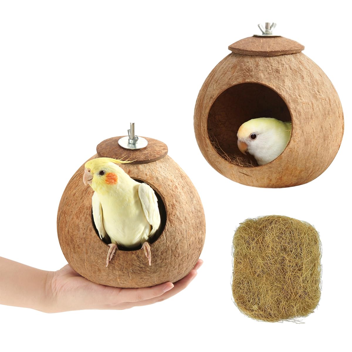 AHBLQD coconut bird nest side view shows natural shelter for small birds.