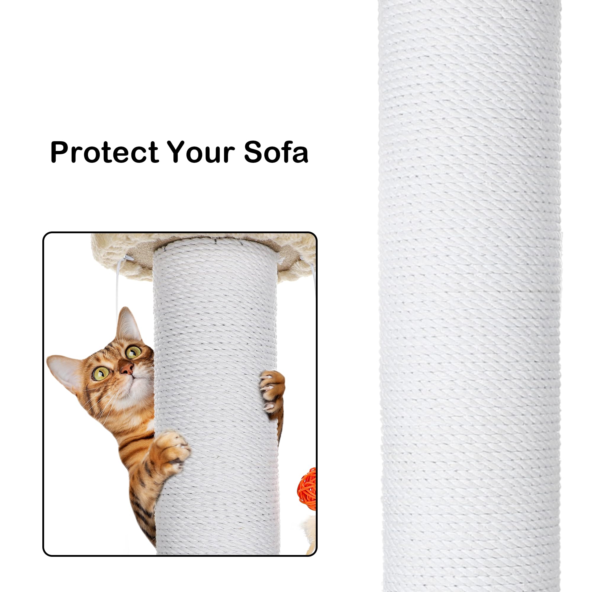 Ahomdoo cat playing with hanging toys beige image captures interactive play sessions and enrichment