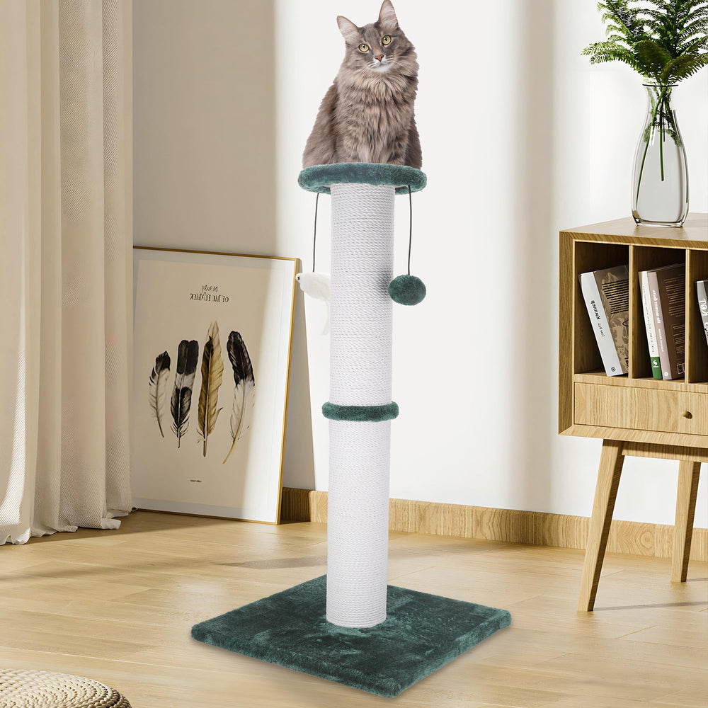 Ahomdoo green finish blends with interiors while satisfying scratching instincts.