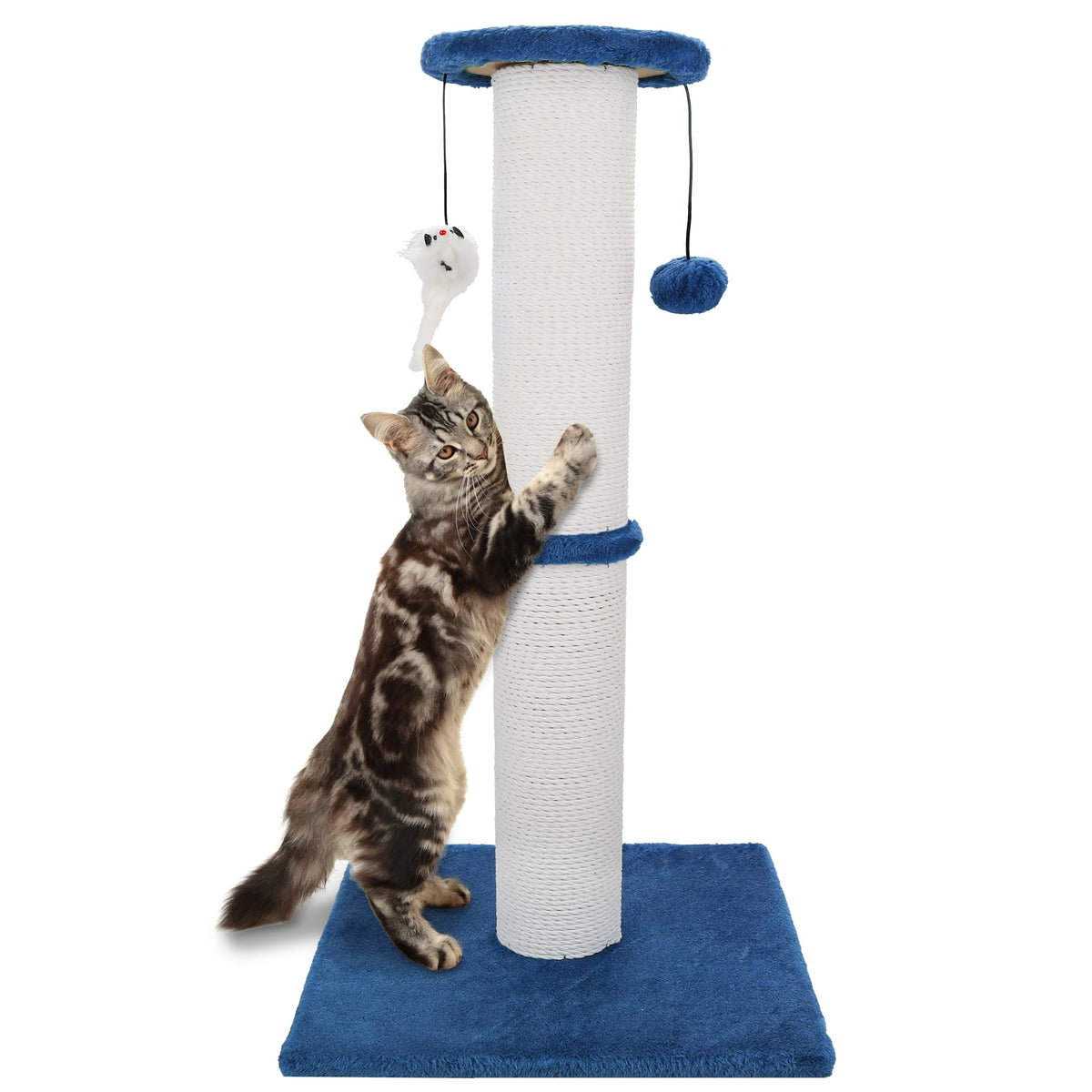 Ahomdoo cat scratching post 34inch navy base provides stable support for vigorous scratching.