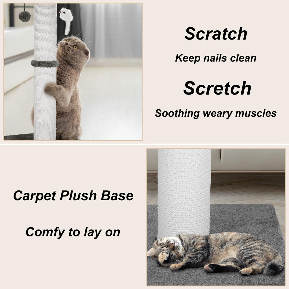 Ahomdoo interactive hanging ball enhances feline play and engagement