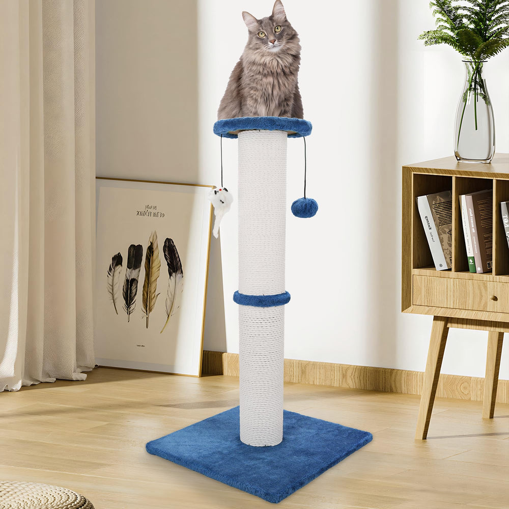 Ahomdoo extra-tall 34inch height offers cats room to stretch and climb safely.