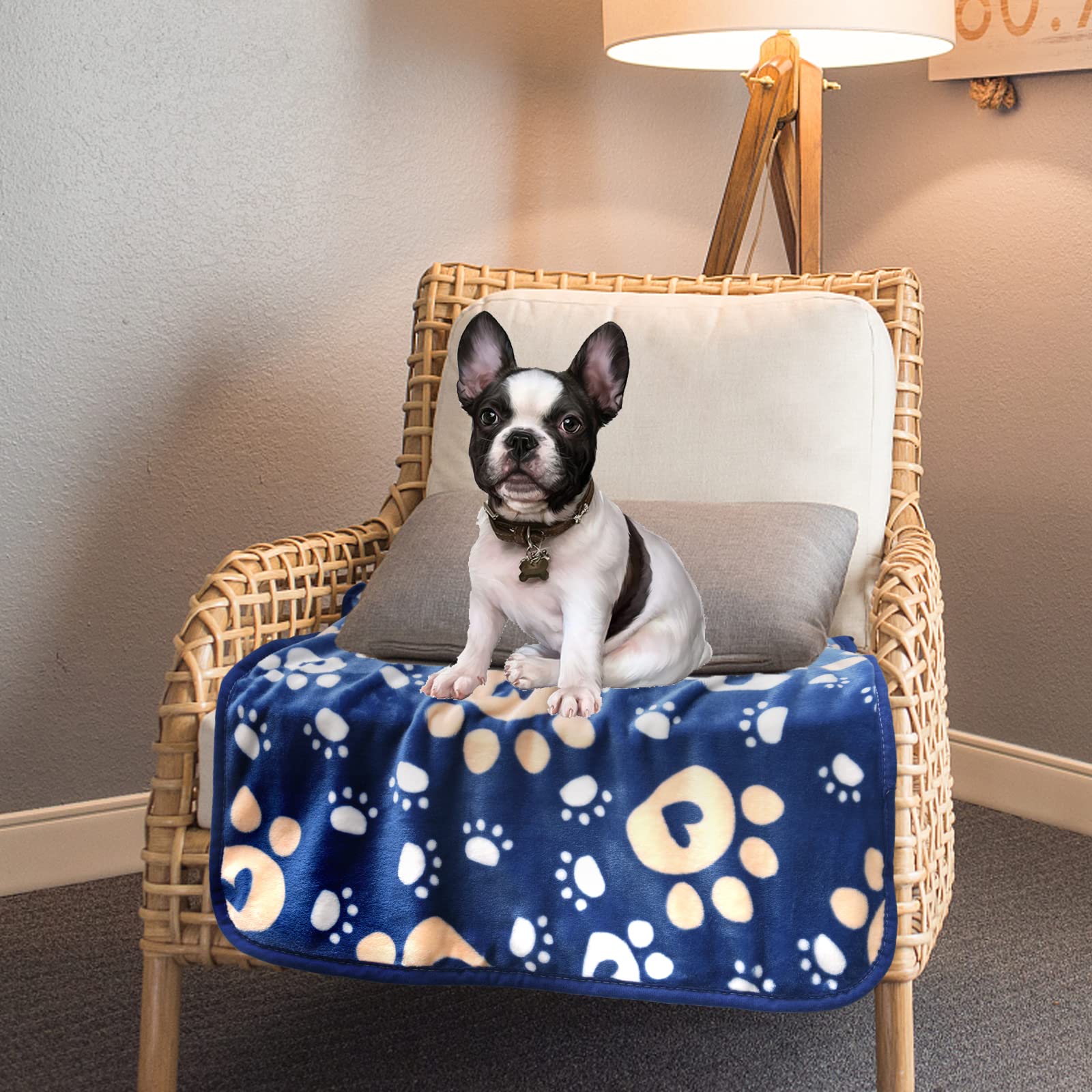 AHOOCUSTOM dog blanket used as mat, versatile for indoor outdoor use.