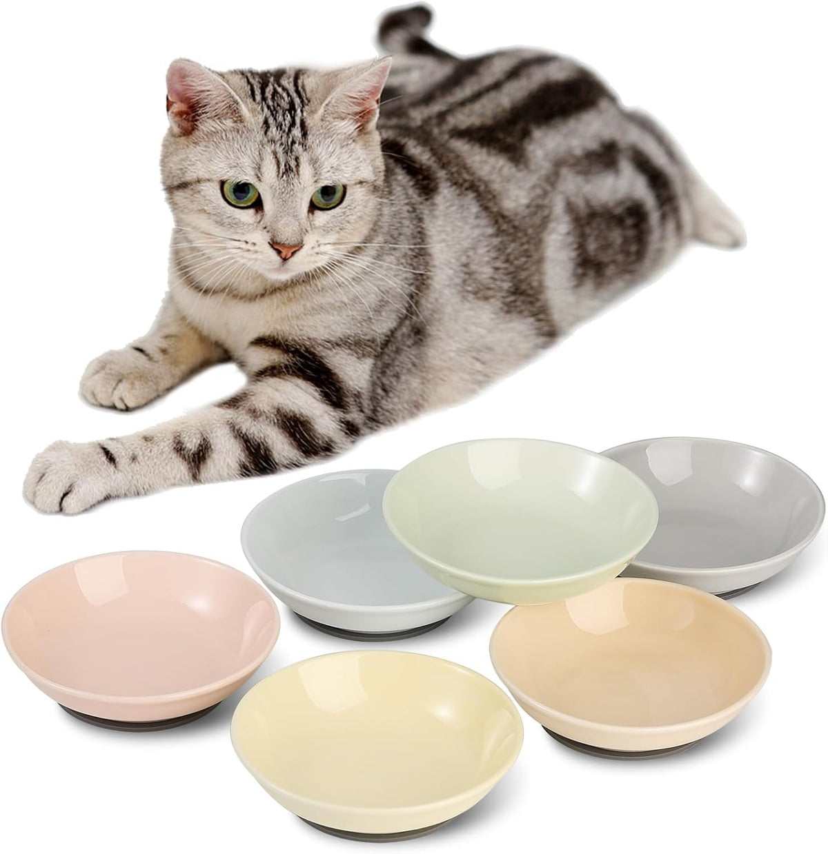 AHX ceramic cat bowl set colorful dishes six-pack supports multi-cat meals and mood