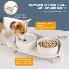 AHX elevated ceramic dog water bowl close-up for hydration
