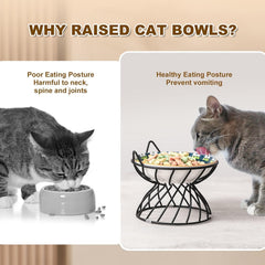 AHX metal stand cat dish anti-slip sleeves ensure secure bowl placement and reduced spills.