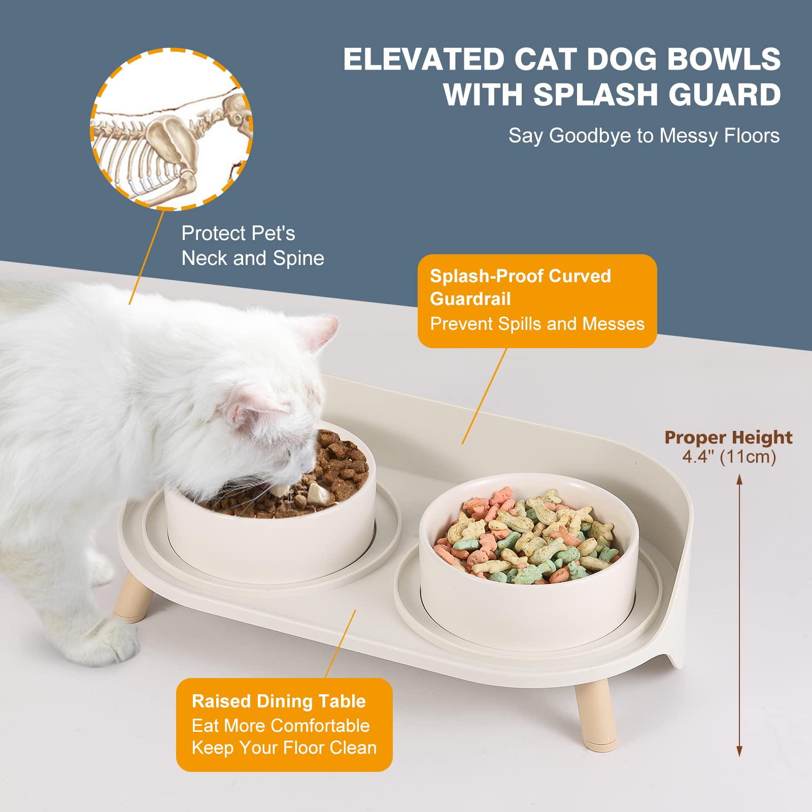 AHX raised cat water bowl with splash guard helps keep floors clean.