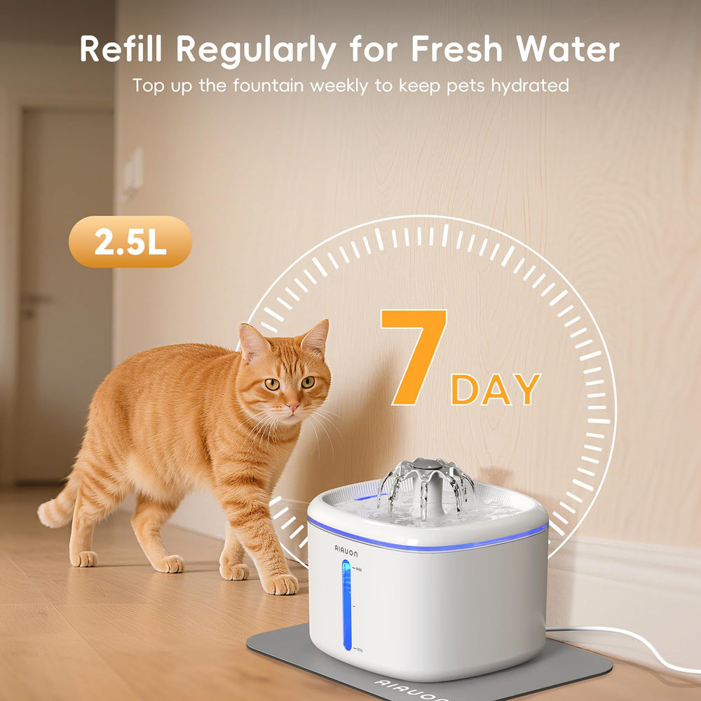 AIAUON upgraded pump and filtration system delivers clean, odor-free water for pets.