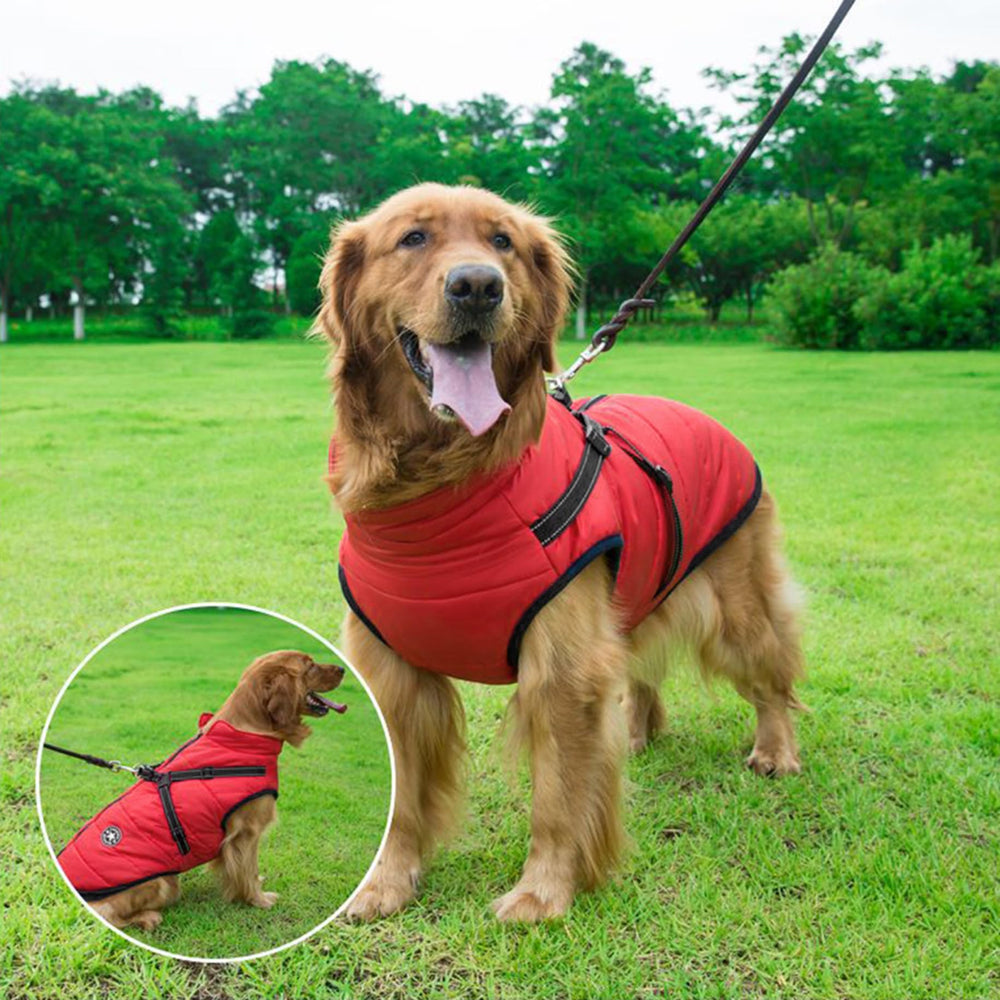 Aiboria 2-in-1 outfit with adjustable shoulders and sturdy D-ring