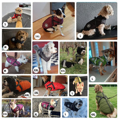 Aiboria dog jacket reinforced zipper design prevents snagging during dressing