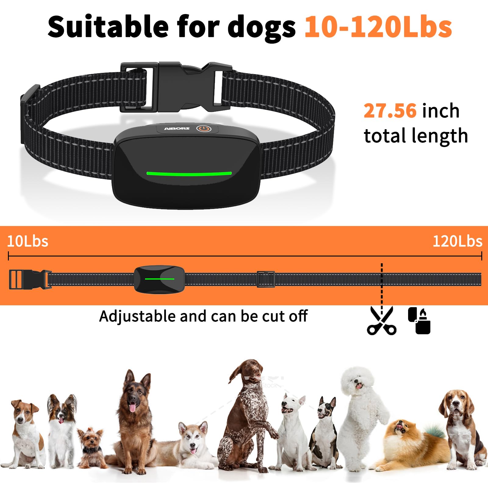 AIBORS two-dog training setup lets you train two dogs concurrently.