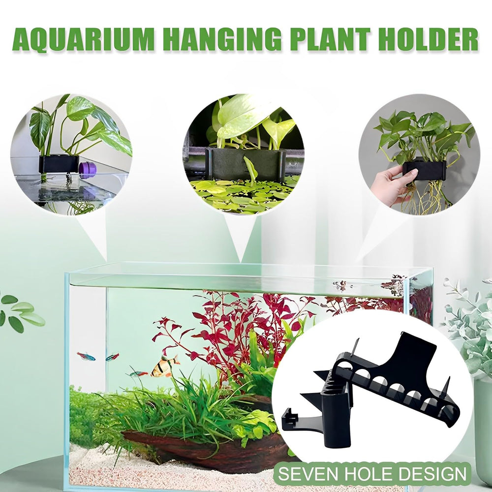 Aidmi 2PC 7 Holes holder supports ferns and pothos for lush aquarium greenery