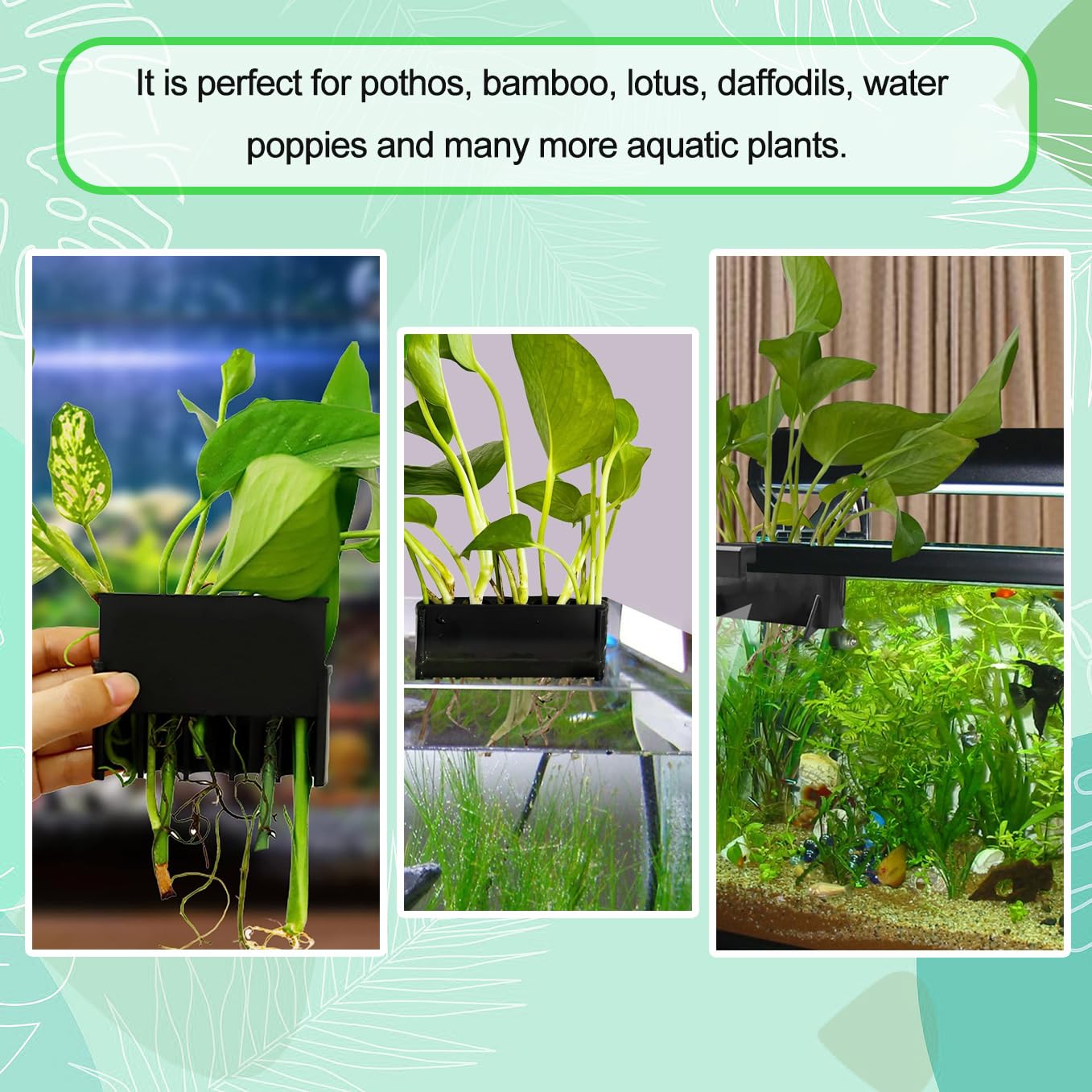 Aidmi 2PC 7 Holes closeup porous bottom promotes root growth and water circulation