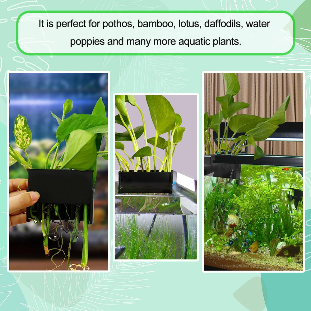 Aidmi 2PC 7 Holes closeup porous bottom promotes root growth and water circulation