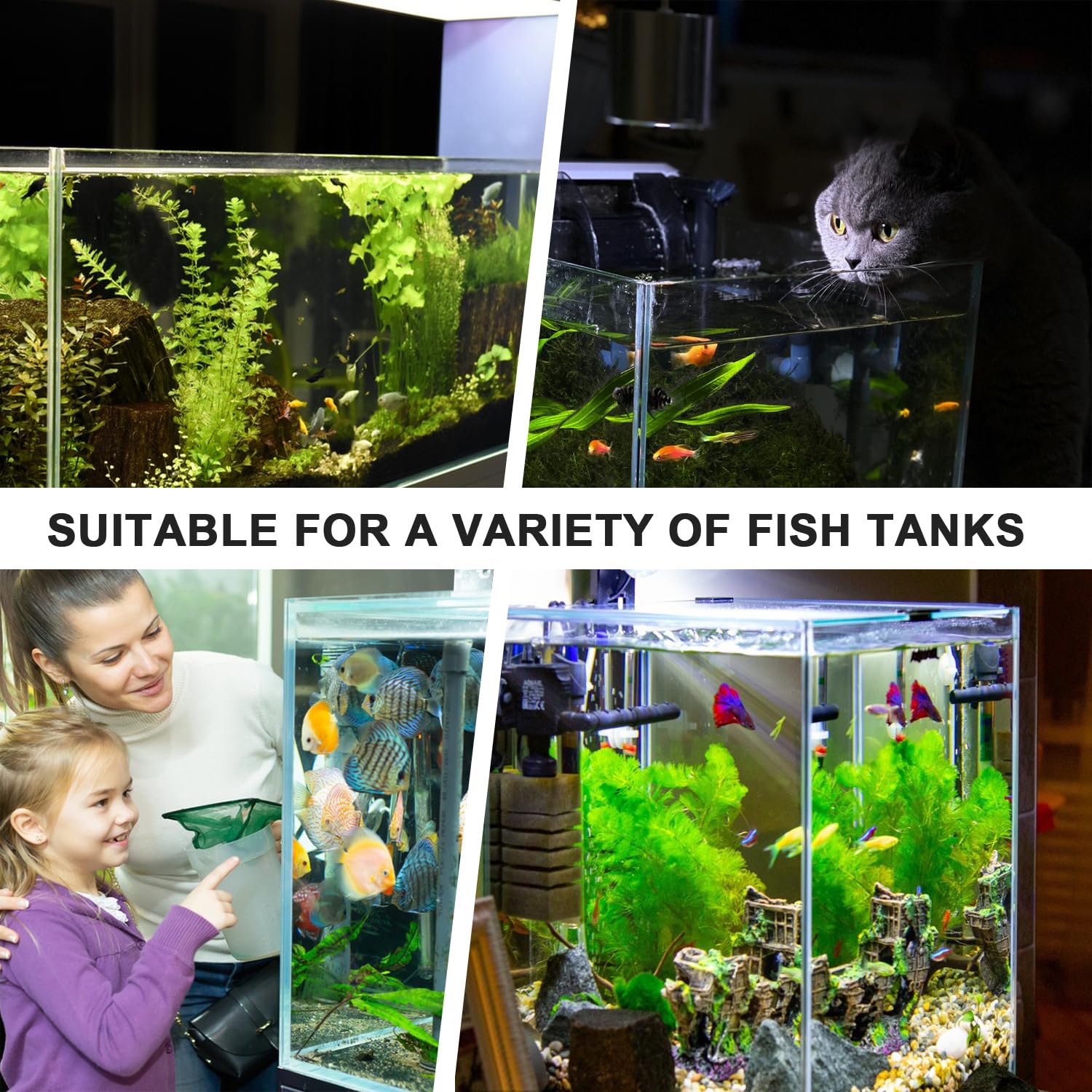 Aidmi disassembled aquarium plant holder image shows modular, versatile setup
