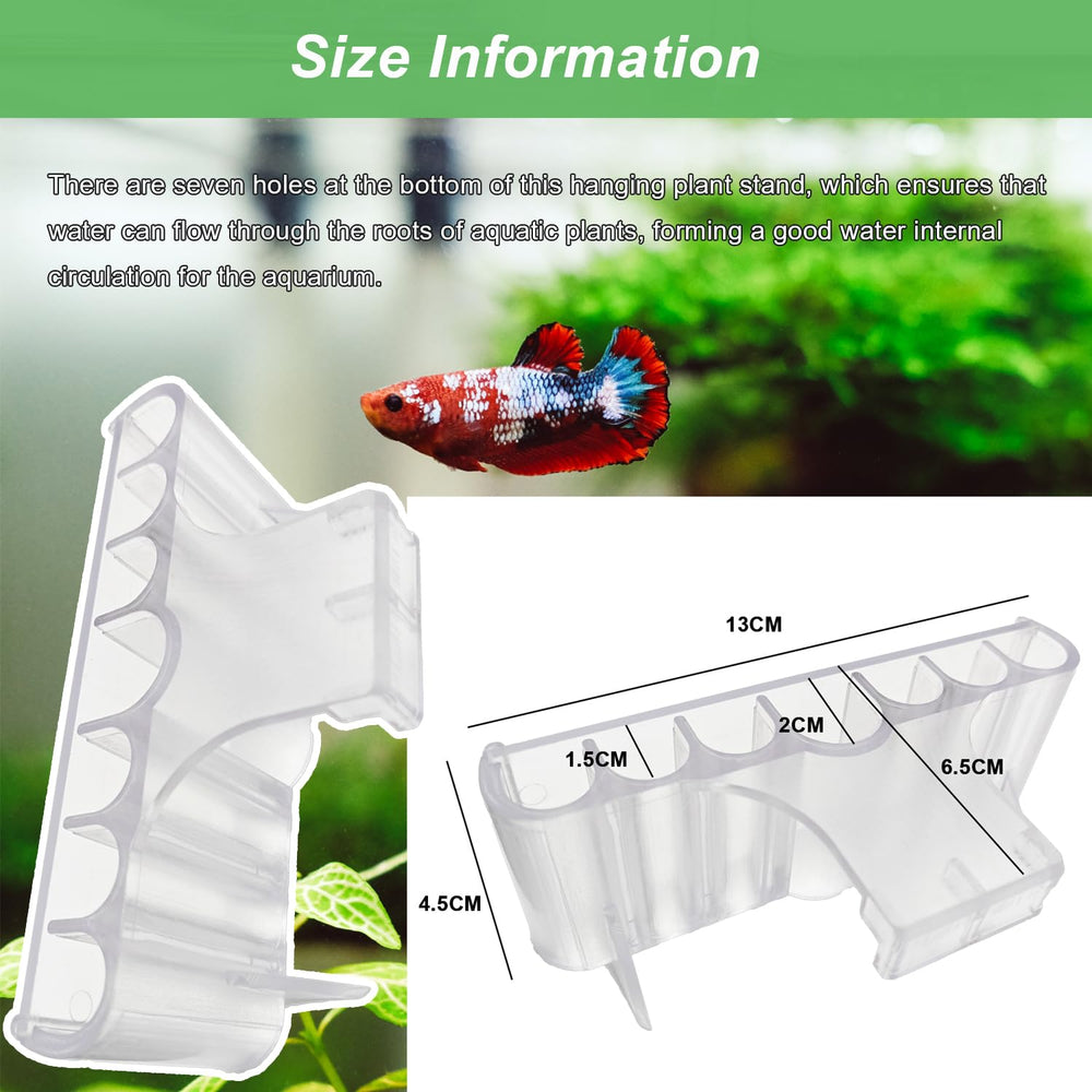 Aidmi aquascape-friendly holder demonstrates compatibility with ferns and water lilies