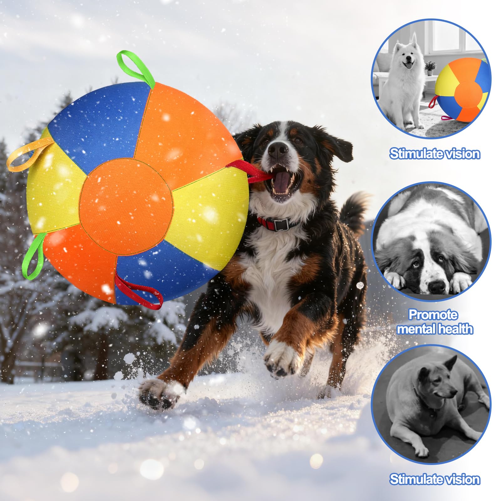 AIERSA Herding Ball in bright orange, yellow, and blue colors for visibility