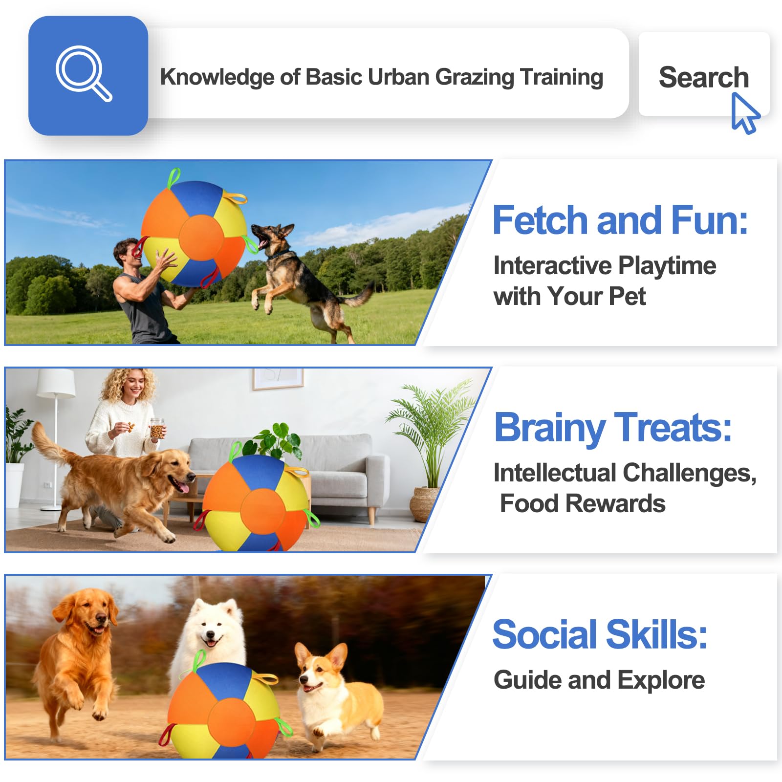 AIERSA Herding Ball with durable, indestructible-like design during active play