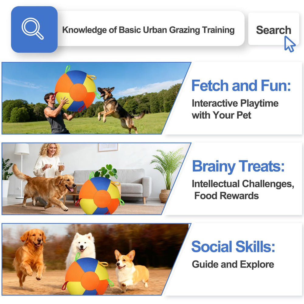 AIERSA Herding Ball with durable, indestructible-like design during active play