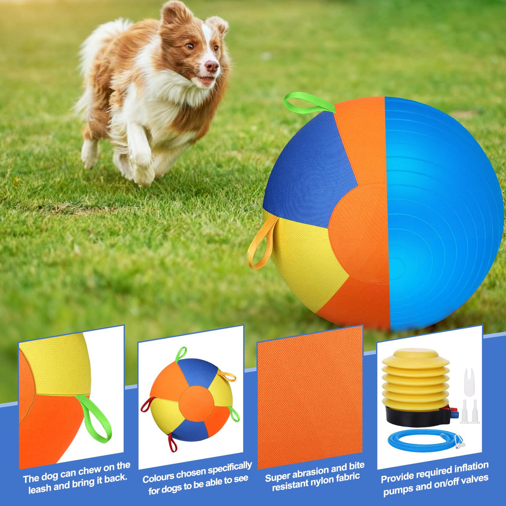 AIERSA Herding Ball made with non-toxic materials for pet safety